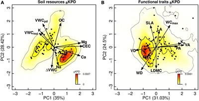 Soil resources and functional trait trade-offs determine species biomass stocks and productivity in a tropical dry forest